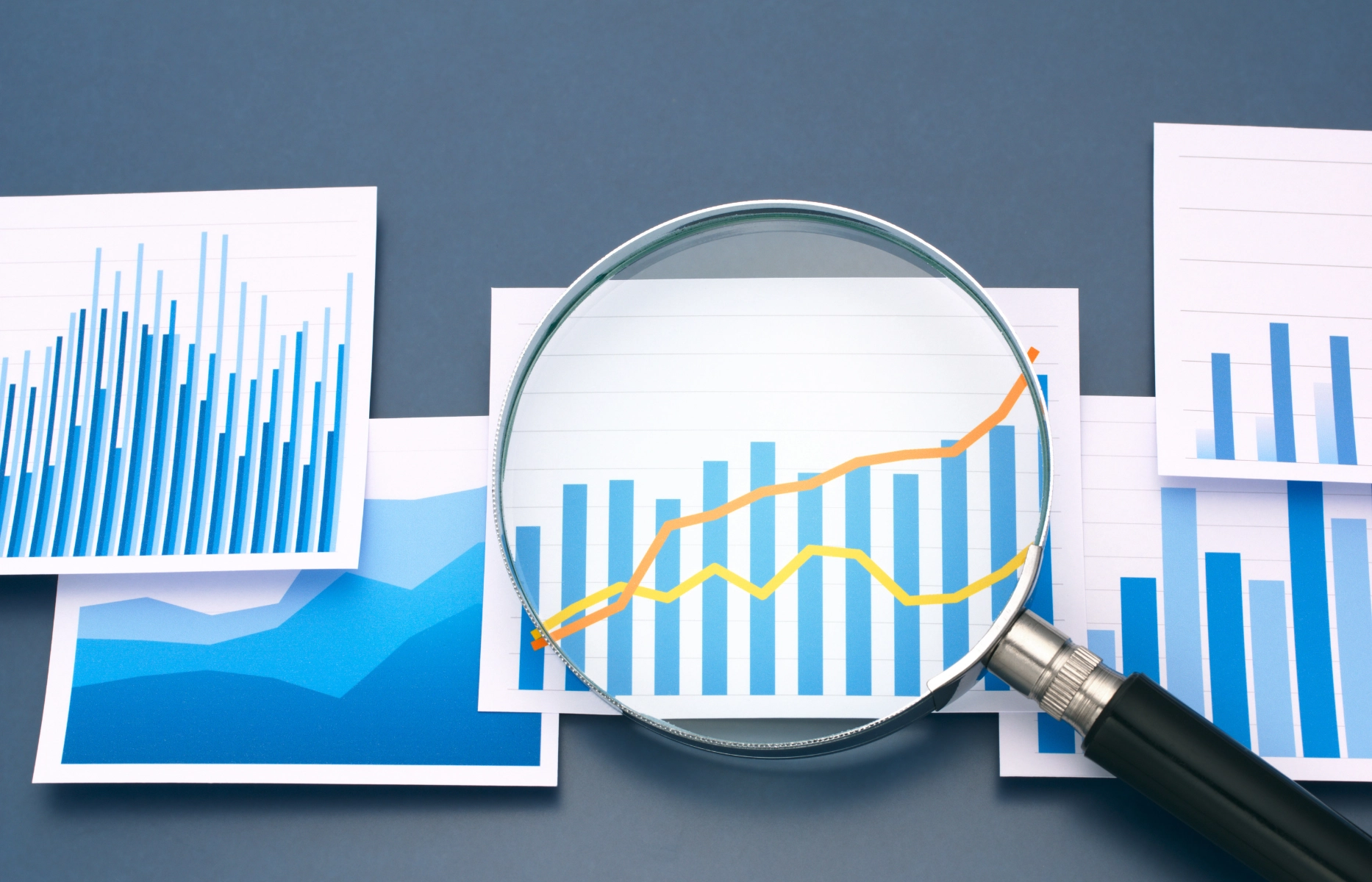 Feed Additives Market Data