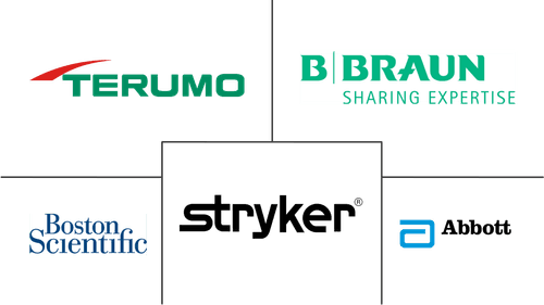 Vascular Guidewires Market Major Players