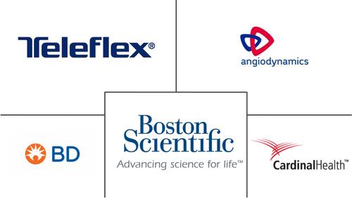 Nephrology Stents And Catheters Market Major Players