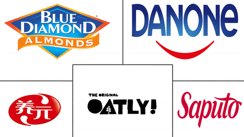 Dairy Alternatives Market Major Players