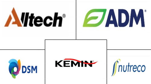 Vietnam Feed Additives Market Major Players