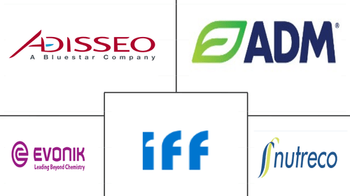 Africa Feed Amino Acids Market Major Players