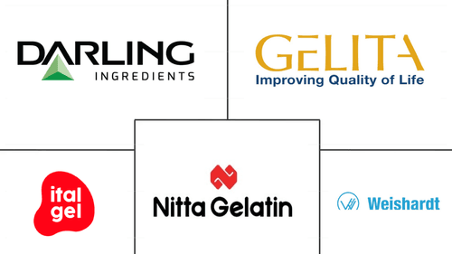 Gelatin Market Major Players