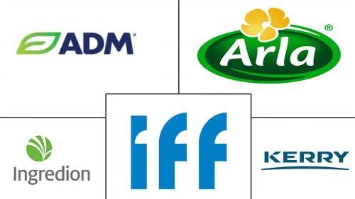 South America Protein Market Major Players