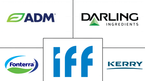 Asia-Pacific Protein Market Major Players