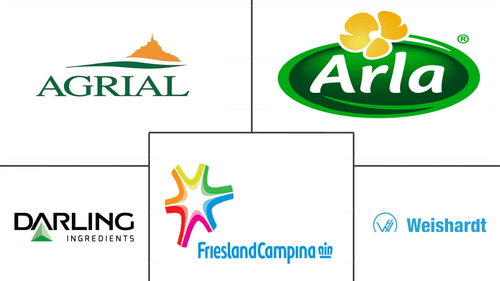 Europe Animal Protein Market Major Players