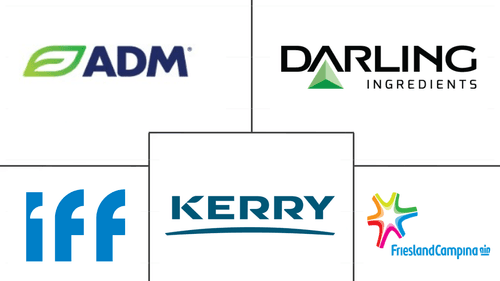 Europe Protein Market Major Players