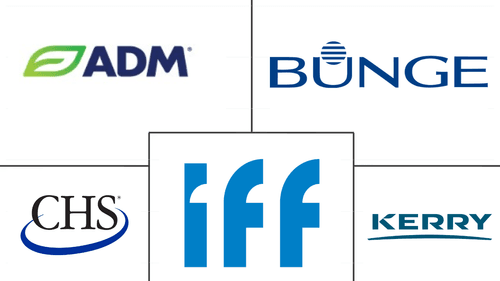 North America Protein Market Major Players