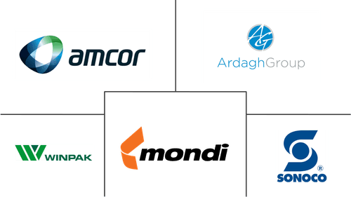 Baby Food Packaging Market Major Players