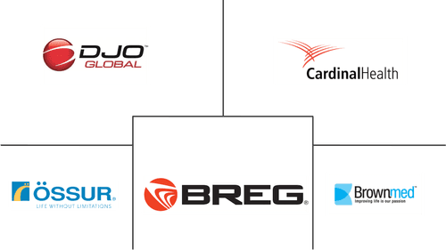 Cold Pain Therapy Market Major Players