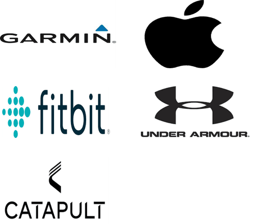 Sports Electronics Market Major Players