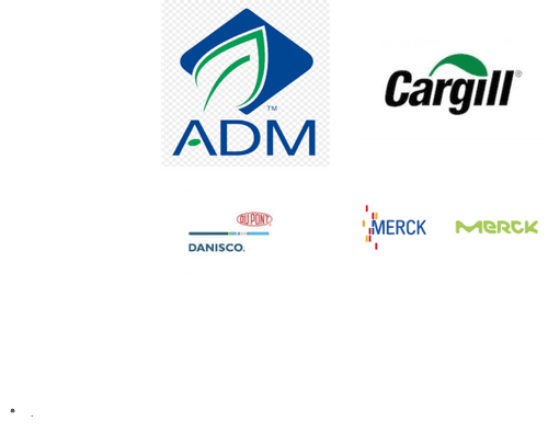 Tocopherol Market Major Players