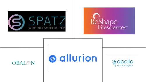 Intragastric Balloon Market Major Players