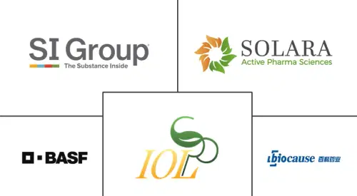 Ibuprofen API Market Major Players