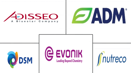 Africa Feed Additives Market Major Players