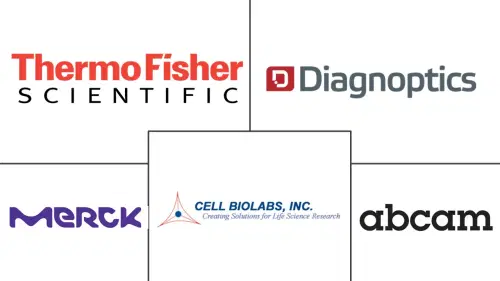 Advanced Glycation End Products Market Major Players