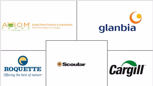 Africa Pea Protein Market Major Players