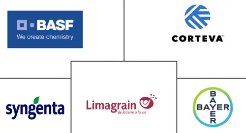 Africa Seed Market Major Players