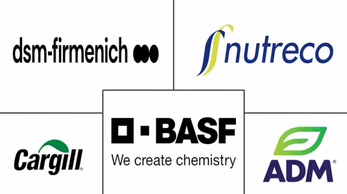 Animal Feed Micronutrients Market Major Players