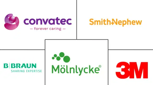 Anti-Biofilm Wound Dressing Market Major Players