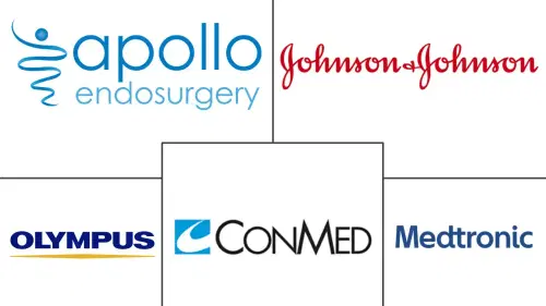 Asia-Pacific Bariatric Surgery Market Major Players