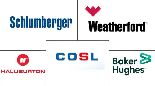 Asia-Pacific Drilling Waste Management Services Market Major Players