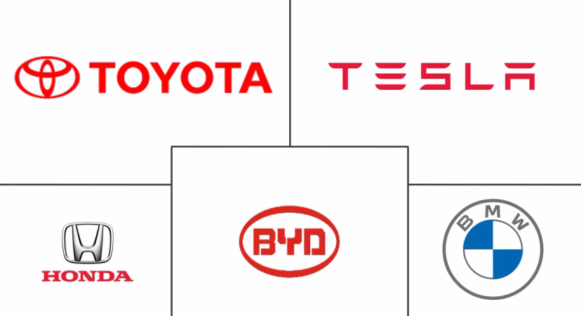 Major players in Asia-Pacific Electric Vehicle industry