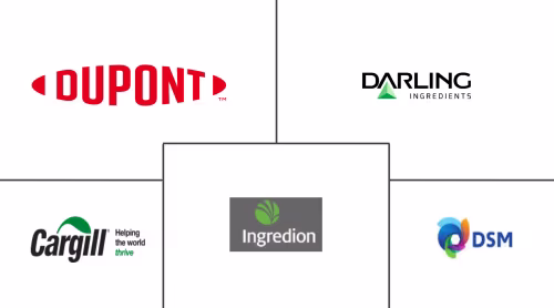 Asia-Pacific Starch Derivatives Market Major Players