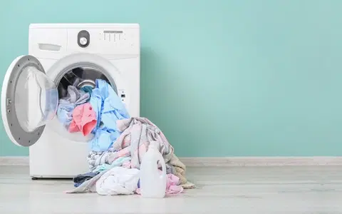 Expansion Strategy in Russia's Laundry Appliances Sector - Case Study