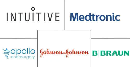 Australia Bariatric Surgery Market Major Players