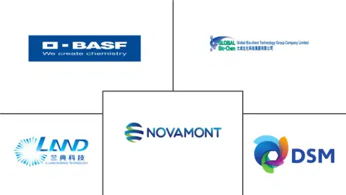 Bio-based 1,4-Butanediol Market Major Players