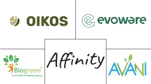 Cassava Bags Market Major Players