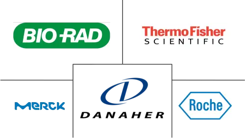 Cell Lysis Market Major Players