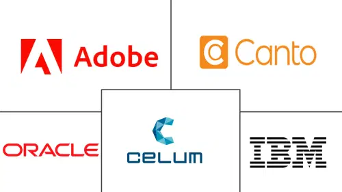 Digital Asset Management Market Major Players