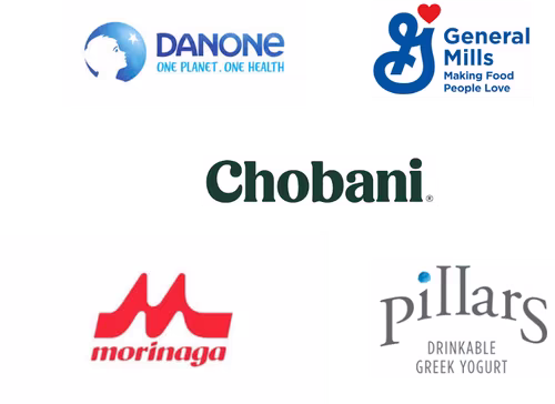 Drinkable Yogurt Market Major Players