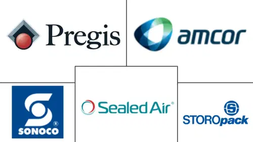 E-commerce Plastic Packaging Market Major Players