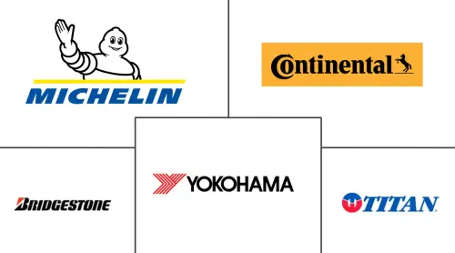 Europe Agricultural Tires Market Major Players