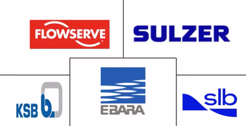 Europe Asia Submerged Pump Market Major Players