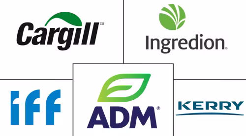 Europe Food Emulsifiers Market Major Players