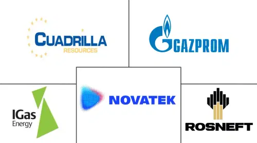 Europe Hydraulic Fracturing Fluids Market Major Players