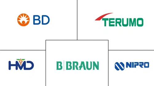 Europe Insulin Syringe Market Major Players