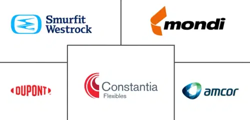 Europe Medical Devices Packaging Market Major Players