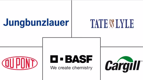 Europe Organic Acid Market Major Players