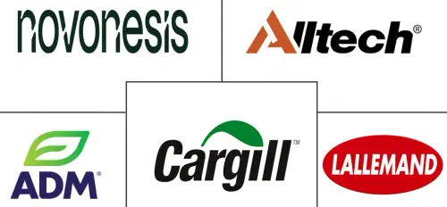 Europe Silage Inoculant Market Major Players