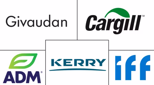 Europe Specialty Food Ingredients Market Major Players