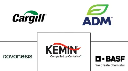 Feed Enzyme Market Major Players