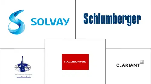 Fluid Loss Additive Market Major Players
