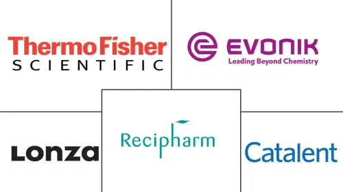 Gastroretentive Drug Delivery Systems Outsourcing Market Major Players