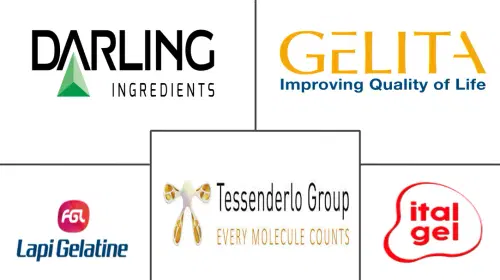 Germany Collagen Market Major Players