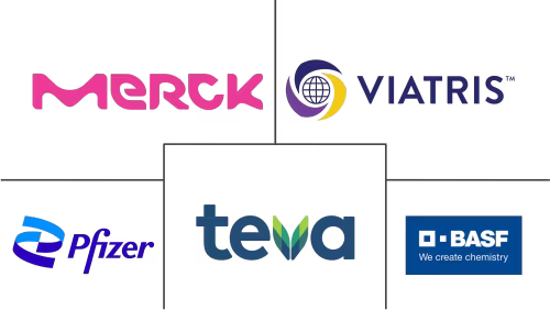 Active Pharmaceutical Ingredients (API) Market Major Players